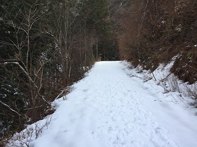 林道を10分ほど歩くともう積雪