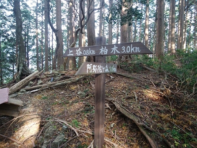 30分ほど急登が終わり尾根まで登ると道標があり。阿弥陀ヶ森まで5.8kmと結構長い